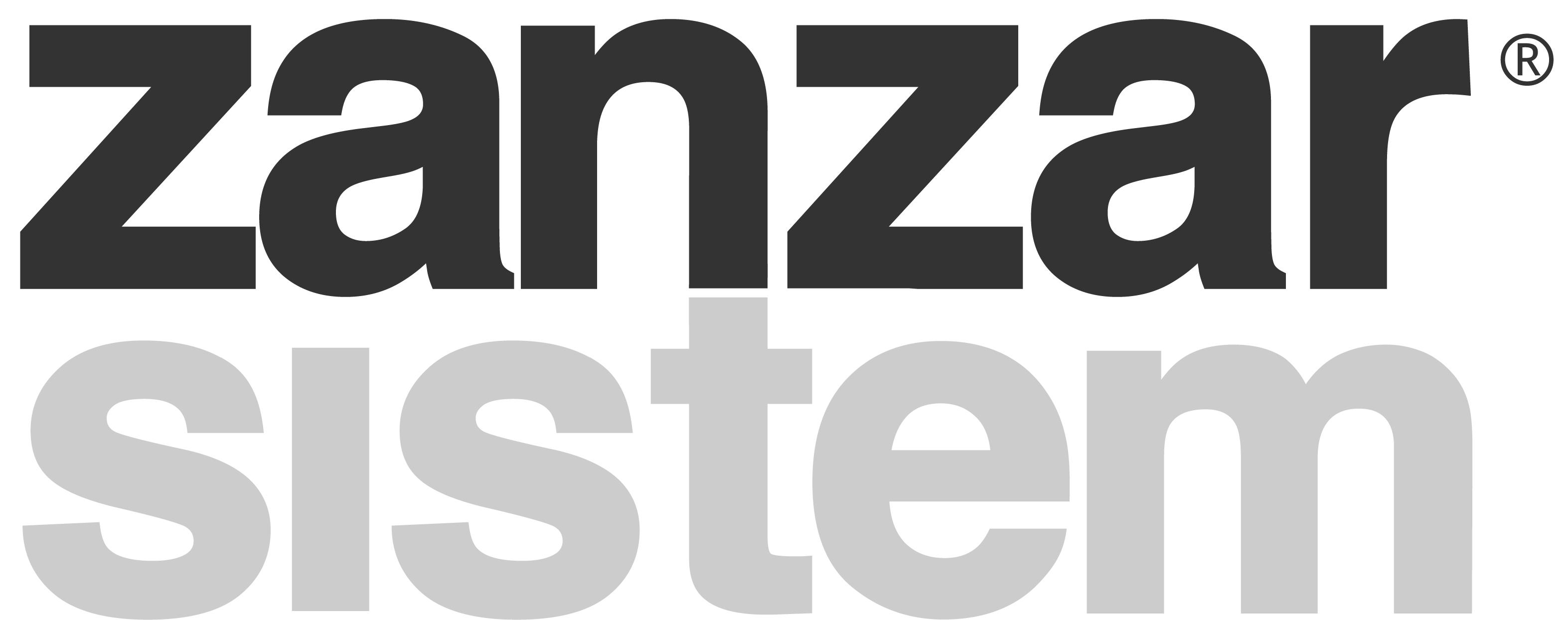 Logo Zanzar Sistem